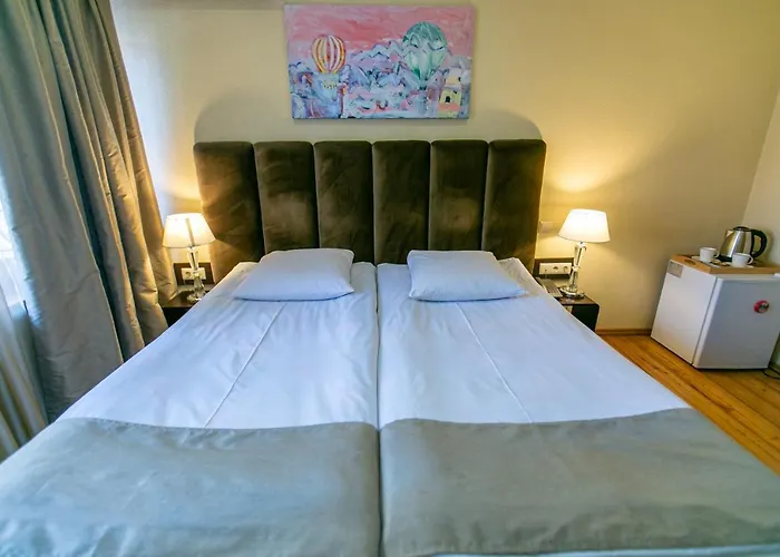 Hotel Vip